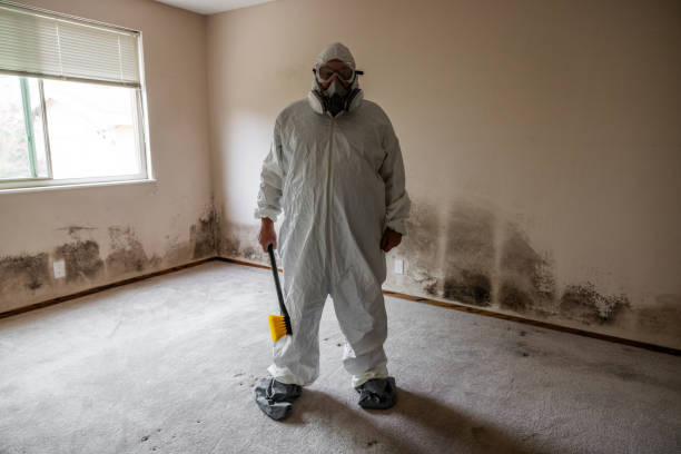 Best Industrial Mold Remediation  in Fairfax Station, VA